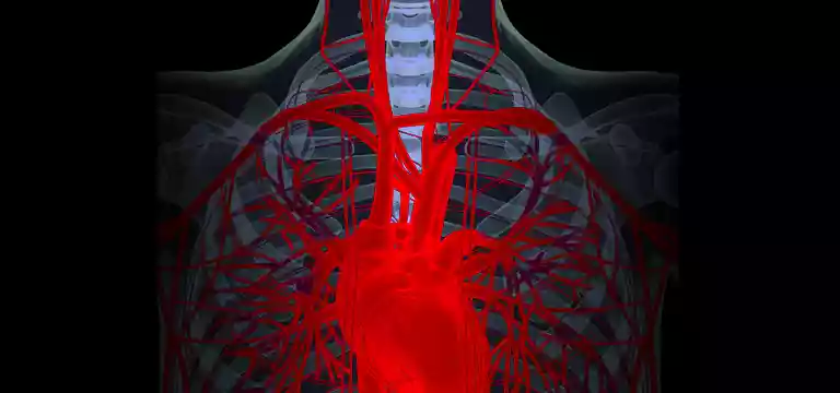 CT Scans and Blood Vessel Imaging: A Comprehensive Guide